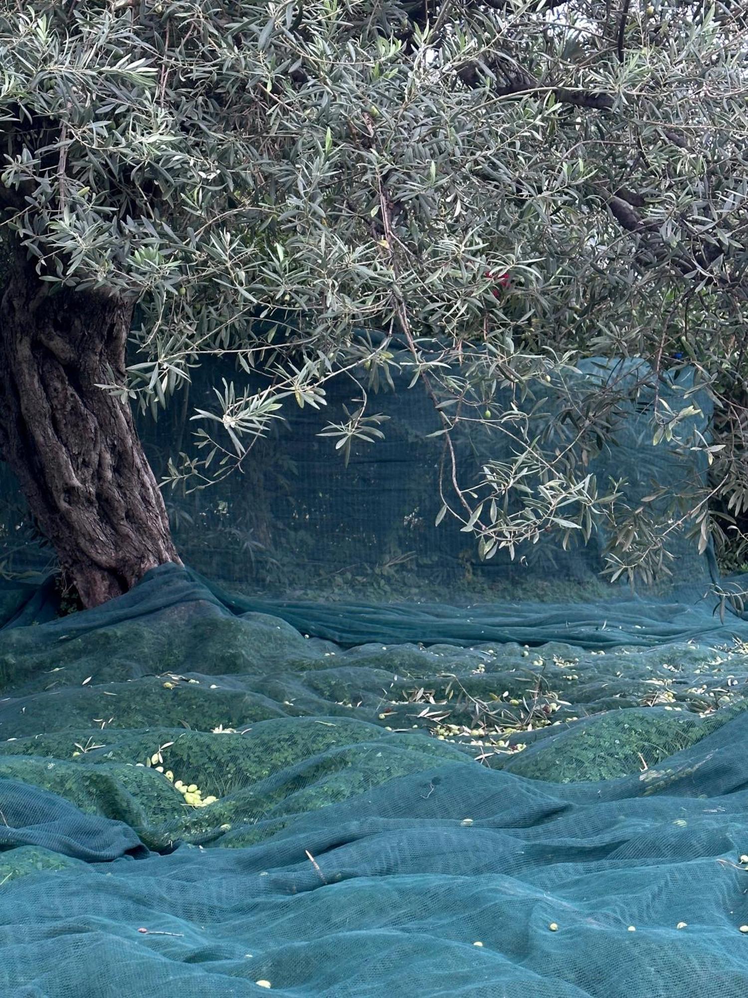Casale Romano Resort E Relais Motta Camastra Bagian luar foto